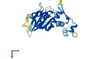 AlphaFold protein structure predicition of Human Recombinant APOBEC1 Protein, UniprotID P41238