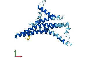 AlphaFold protein structure predicition of Mouse Recombinant Mtatp6 Protein, UniprotID P00848