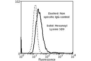 Flow Cytometry analysis using Mouse Anti-Hexanoyl-Lysine adduct Monoclonal Antibody, Clone 5D9 . (Hexanoyl-Lysine Adduct (HEL) anticorps (FITC))