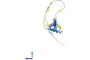 AlphaFold protein structure predicition of Mouse Recombinant Twist2 Protein, UniprotID Q9D030