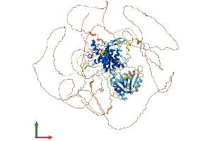 AlphaFold protein structure predicition of Human Recombinant SENP6 Protein, UniprotID Q9GZR1