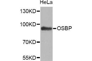 Western Blotting (WB) image for anti-Oxysterol Binding Protein (OSBP) (AA 508-807) antibody (ABIN1681171) (OSBP anticorps  (AA 508-807))