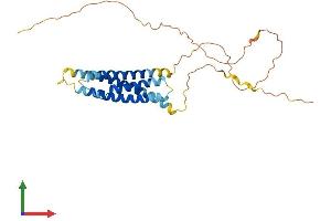 AlphaFold protein structure predicition of Mouse Recombinant Ms4a8 Protein, UniprotID Q99N10