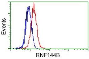 Image no. 2 for anti-Ring Finger Protein 144B (RNF144B) (AA 1-256) antibody (ABIN1490649)