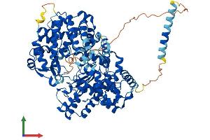 AlphaFold protein structure predicition of Mouse Recombinant Ecel1 Protein, UniprotID Q9JMI0