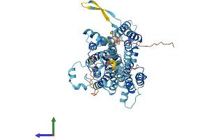 AlphaFold protein structure predicition of Mouse Recombinant Slc23a1 Protein, UniprotID Q9Z2J0