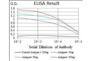 Black line: Control Antigen (100 ng), Purple line: Antigen(10 ng), Blue line: Antigen (50 ng), Red line: Antigen (100 ng), (NAPSA anticorps  (AA 20-158))