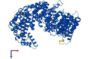 AlphaFold protein structure predicition of Human Recombinant TNPO3 Protein, UniprotID Q9Y5L0
