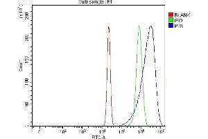 Flow Cytometry analysis of U20S cells using anti-PTN antibody (ABIN7602164). (Pleiotrophin anticorps  (AA 61-148))