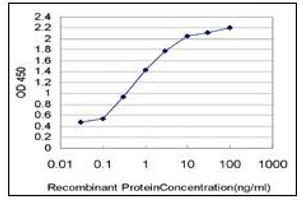 ELISA image for anti-Myosin 9 (MYH9) antibody (ABIN782310)