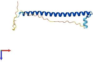 AlphaFold protein structure predicition of Mouse Recombinant Crebl2 Protein, UniprotID Q32M00