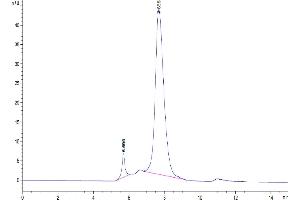 The purity of Cynomolgus LILRB2 is greater than 95 % as determined by SEC-HPLC. (LILRB2 Protein (AA 24-457) (Fc Tag))