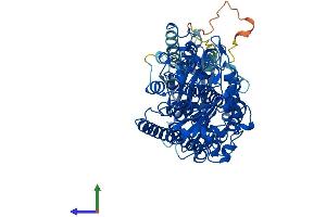 AlphaFold protein structure predicition of Human Recombinant ALOX12B Protein, UniprotID O75342