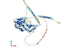 AlphaFold protein structure predicition of Mouse Recombinant Gnl3 Protein, UniprotID Q8CI11