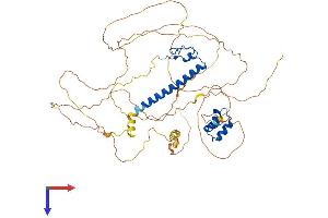 AlphaFold protein structure predicition of Human Recombinant DMRTA2 Protein, UniprotID Q96SC8