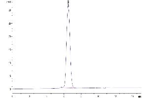 The purity of Biotinylated Human CD24 is greater than 95 % as determined by SEC-HPLC.