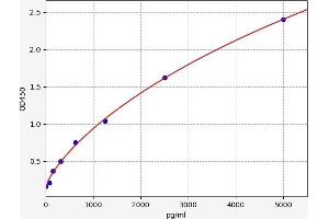 Typical standard curve (p21 Kit ELISA)