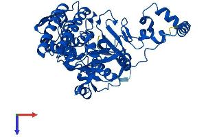 AlphaFold protein structure predicition of Mouse Recombinant Blmh Protein, UniprotID Q8R016
