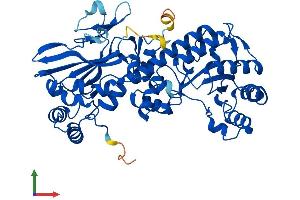 AlphaFold protein structure predicition of Human Recombinant NAMPT Protein, UniprotID P43490