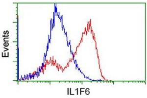 HEK293T cells transfected with either RC219328 overexpress plasmid (Red) or empty vector control plasmid (Blue) were immunostained by anti-IL1F6 antibody (ABIN2453183), and then analyzed by flow cytometry. (IL36A/IL1F6 anticorps)