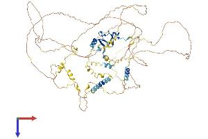 AlphaFold protein structure predicition of Mouse Recombinant Lima1 Protein, UniprotID Q9ERG0