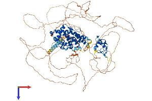 AlphaFold protein structure predicition of Human Recombinant NR3C2 Protein, UniprotID P08235