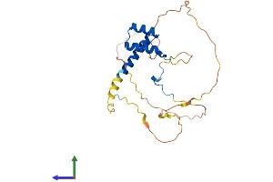 AlphaFold protein structure predicition of Mouse Recombinant Hoxa6 Protein, UniprotID P09092