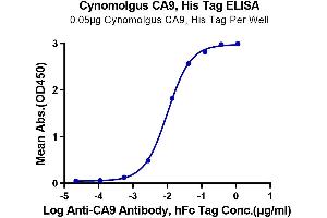Immobilized Cynomolgus CA9, His Tag at 0.