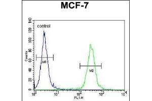 NKPD1 Antibody (C-term) (ABIN654870 and ABIN2844528) flow cytometric analysis of MCF-7 cells (right histogram) compared to a negative control cell (left histogram). (NKPD1 anticorps  (C-Term))