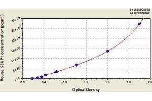 Typical Standard Curve (KEAP1 Kit ELISA)