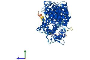 AlphaFold protein structure predicition of Human Recombinant ZYG11B Protein, UniprotID Q9C0D3