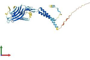 AlphaFold protein structure predicition of Mouse Recombinant Ergic2 Protein, UniprotID Q9CR89