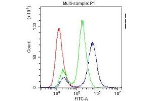Flow Cytometry analysis of U-87MG cells using anti-ABCG2 antibody .