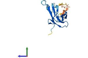 AlphaFold protein structure predicition of Human Recombinant VHLL Protein, UniprotID Q6RSH7