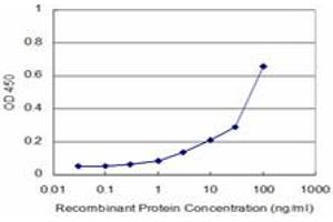 Detection limit for recombinant GST tagged CDK4 is approximately 3ng/ml as a capture antibody. (CDK4 anticorps  (AA 211-303))