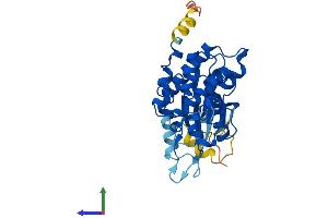 AlphaFold protein structure predicition of Mouse Recombinant Cdk6 Protein, UniprotID Q64261