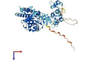 AlphaFold protein structure predicition of Human Recombinant LPCAT4 Protein, UniprotID Q643R3