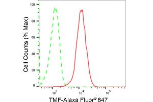 Flow cytometric analysis of TMF expression in HepG2 cells using TMF antibody (ABIN7800518), 1:2,000). (Recombinant TMF1 anticorps)
