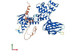 AlphaFold protein structure predicition of Human Recombinant BTBD3 Protein, UniprotID Q9Y2F9