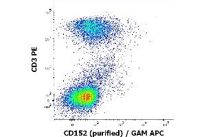 Flow cytometry multicolor surface staining of human PHA stimulated lymphocytes stained using anti-human CD152 (BNI3) purified antibody (concentration in sample 10 μg/mL, GAM APC) and anti-human CD3 (UCHT1) PE antibody (20 μL reagent / 100 μL of peripheral whole blood). (CTLA4 anticorps)