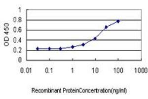 Detection limit for recombinant GST tagged IGSF6 is approximately 1ng/ml as a capture antibody. (IGSF6 anticorps  (AA 29-241))