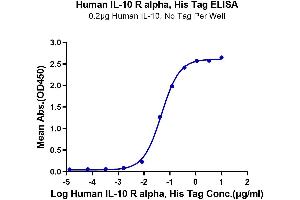 Immobilized Human IL-10, No Tag at 2 μg/mL (100 μL/well) on the plate.