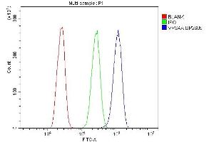 Flow Cytometry analysis of A431 cells using anti-VPS4A antibody (ABIN7599531). (VPS4A anticorps  (AA 1-71))
