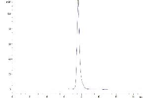 The purity of Cynomolgus M-CSF R is greater than 95 % as determined by SEC-HPLC.