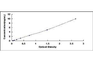 Typical standard curve (DNMT3L Kit ELISA)