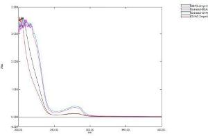 Mass Spec of Protein Standard from the Kit (E2).