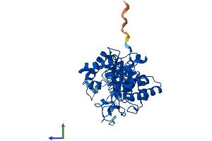 AlphaFold protein structure predicition of Human Recombinant BHMT2 Protein, UniprotID Q9H2M3
