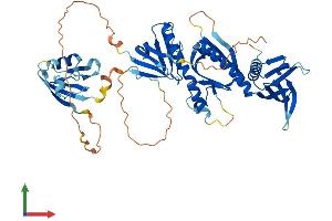 AlphaFold protein structure predicition of Human Recombinant SNTB2 Protein, UniprotID Q13425