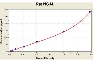 Diagramm of the ELISA kit to detect Rat NGALwith the optical density on the x-axis and the concentration on the y-axis. (Lipocalin 2 Kit ELISA)