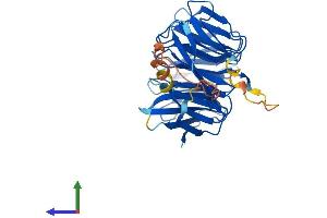 AlphaFold protein structure predicition of Human Recombinant WDR53 Protein, UniprotID Q7Z5U6